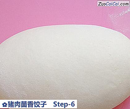 猪肉茴香饺子做法第六步骤