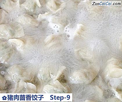 猪肉茴香饺子做法第九步骤