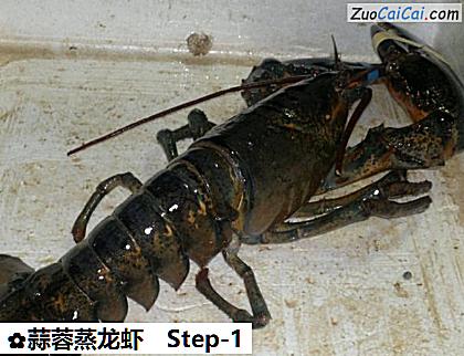 蒜蓉蒸龙虾做法第一步骤