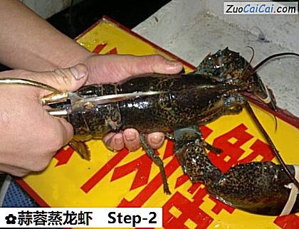 蒜蓉蒸龙虾做法第二步骤