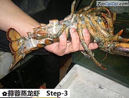 蒜蓉蒸龙虾做法第三步骤