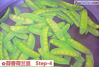 蒜香荷兰豆做法第四步骤