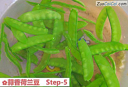 蒜香荷兰豆做法第五步骤
