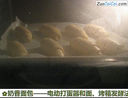 奶香面包做法第十三步骤