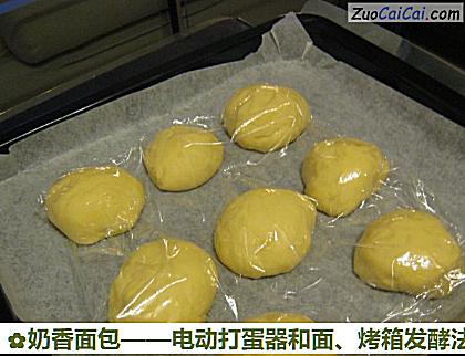 奶香面包做法第七步骤