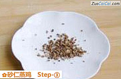 砂仁蒸鸡做法第三步骤
