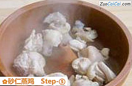 砂仁蒸鸡做法第五步骤