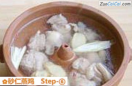 砂仁蒸鸡做法第六步骤