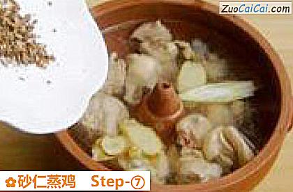 砂仁蒸鸡做法第七步骤