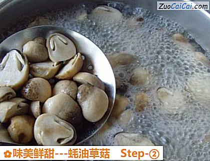 -蚝油草菇做法第二步骤