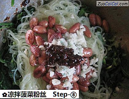 凉拌菠菜粉丝成品图4