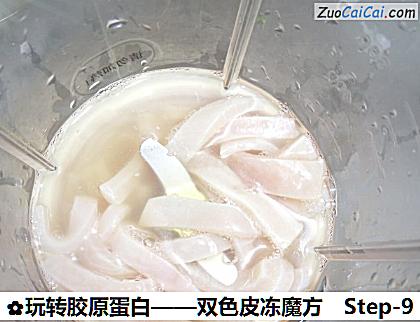 玩转胶原蛋白做法第九步骤