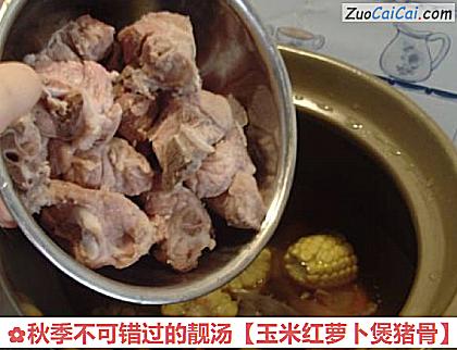 玉米红萝卜煲猪骨做法第五步骤
