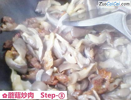 蘑菇炒肉做法第三步骤