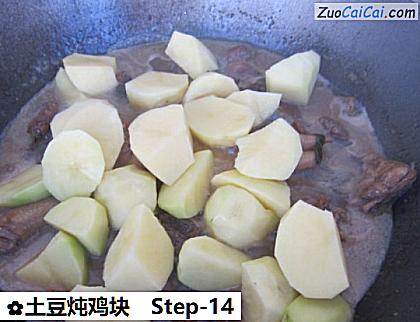 土豆炖鸡块做法第十四步骤