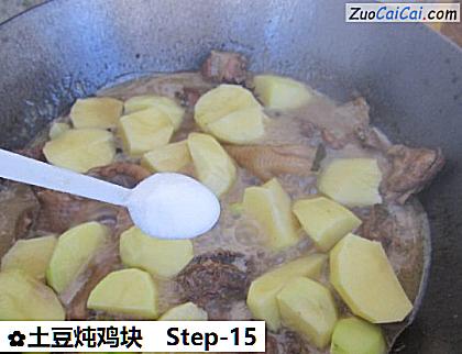土豆炖鸡块做法第十五步骤