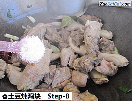 土豆炖鸡块做法第八步骤