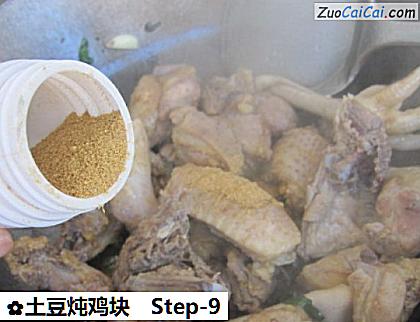 土豆炖鸡块做法第九步骤