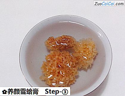 养颜雪蛤膏做法第三步骤