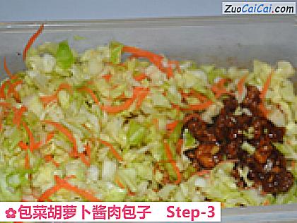 包菜胡萝卜酱肉包子做法第三步骤