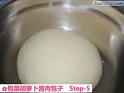 包菜胡萝卜酱肉包子做法第五步骤