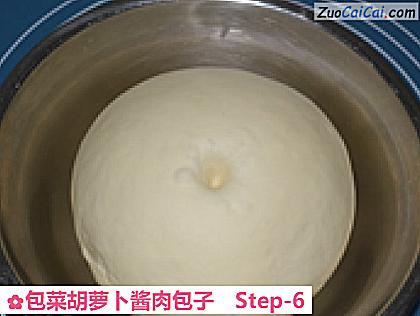 包菜胡萝卜酱肉包子做法第六步骤