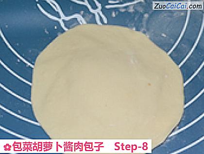 包菜胡萝卜酱肉包子做法第八步骤