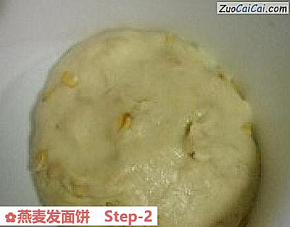 燕麦发面饼做法第二步骤