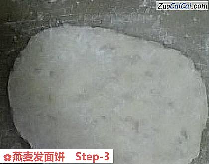 燕麦发面饼做法第三步骤