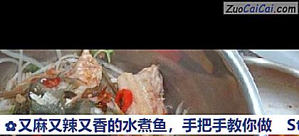 又麻又辣又香的水煮鱼,手把手教你做做法第十四步骤