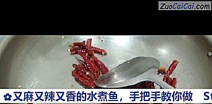 又麻又辣又香的水煮鱼,手把手教你做做法第九步骤