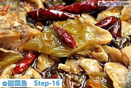 酸菜鱼做法第十六步骤