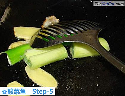 酸菜鱼做法第五步骤