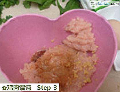 鸡肉馄饨做法第三步骤