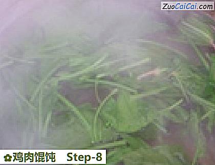 鸡肉馄饨做法第八步骤