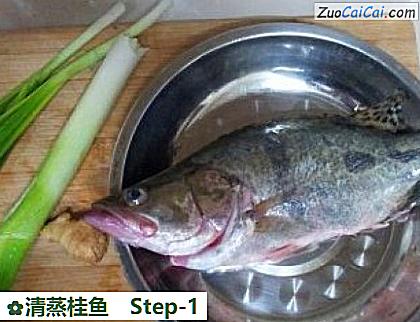 清蒸桂鱼做法第一步骤