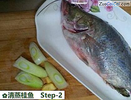 清蒸桂鱼做法第二步骤