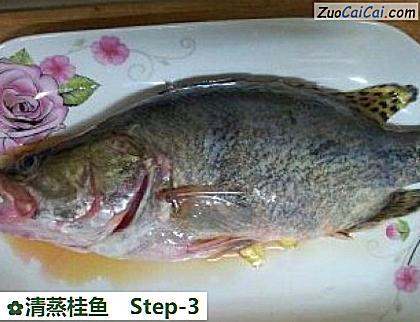 清蒸桂鱼做法第三步骤