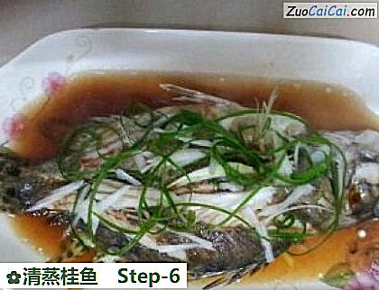 清蒸桂鱼做法第六步骤