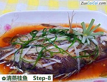 清蒸桂鱼做法第八步骤