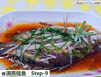 清蒸桂鱼成品图4