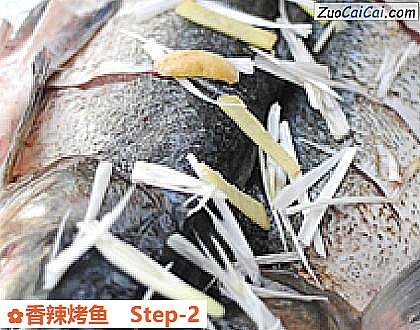 香辣烤鱼做法第二步骤