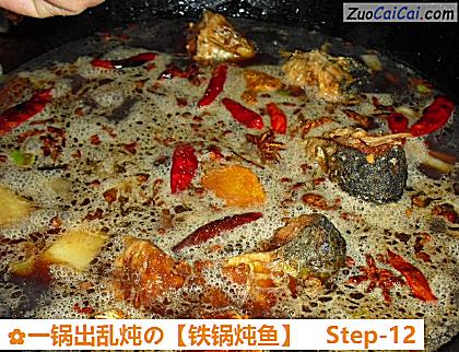 铁锅炖鱼做法第十二步骤