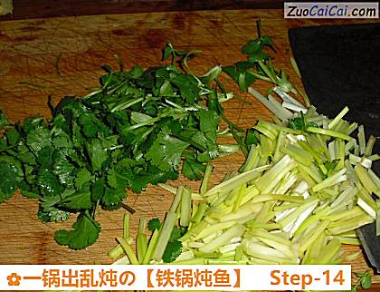 铁锅炖鱼做法第十四步骤