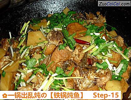 铁锅炖鱼做法第十五步骤