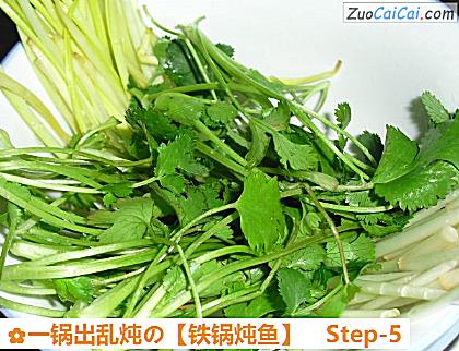 铁锅炖鱼做法第五步骤