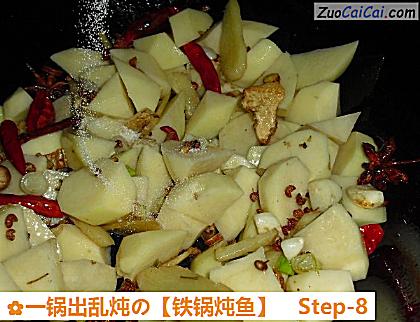 铁锅炖鱼做法第八步骤