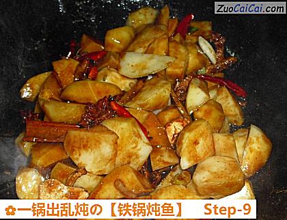 铁锅炖鱼做法第九步骤