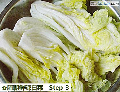 腌朝鲜辣白菜做法第三步骤