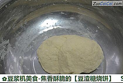 豆浆机美食-焦香酥脆的做法第二步骤